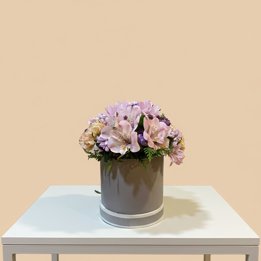 Little princess - BoxGarden