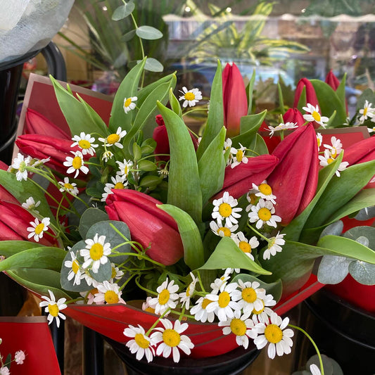 Bouquet 10 tulipanes rojos