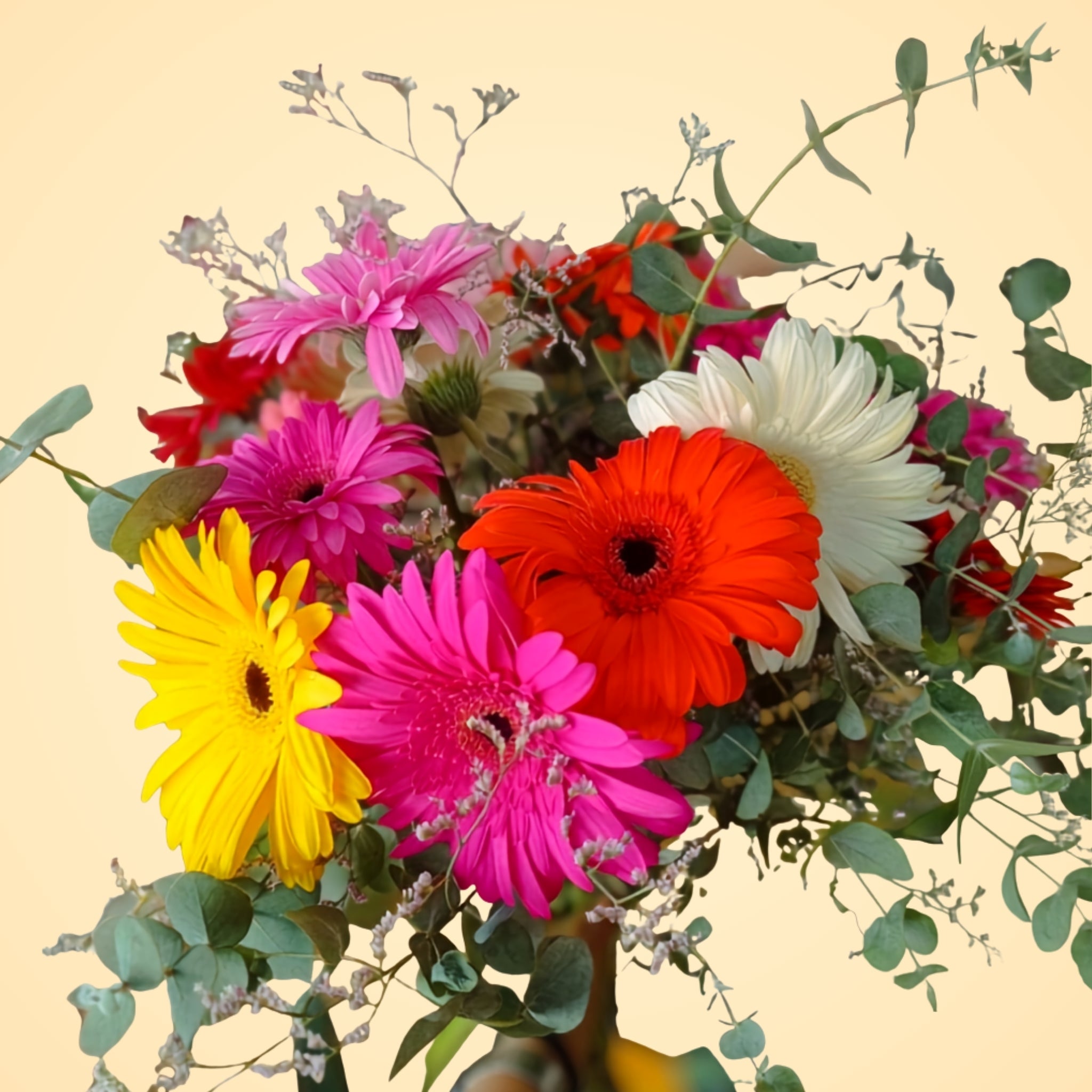 Bouquet Gerberas