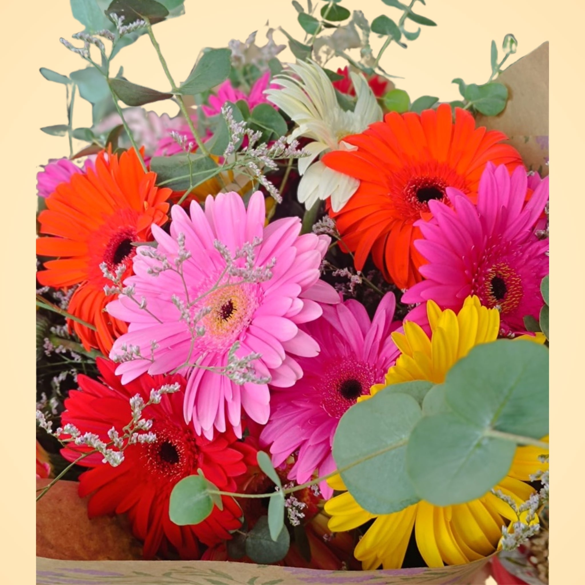 Bouquet Gerberas