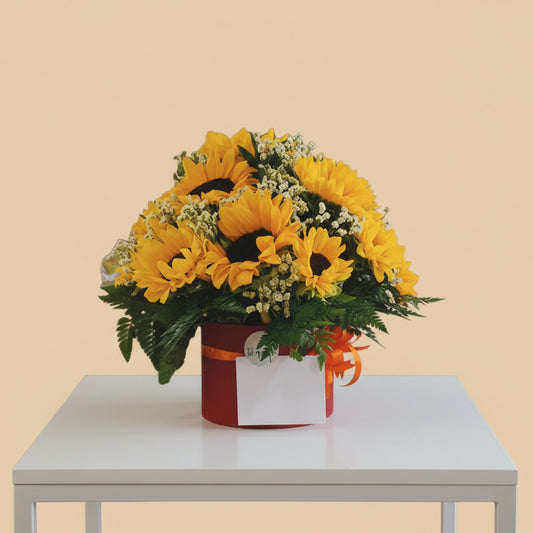 Box Girasoles - Premium