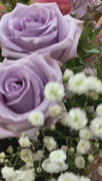 Bouquet 12 Rosas Rosas